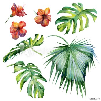 Picture of Watercolor illustration set of tropical leaves dense jungle Hand painted Banner with tropic summertime motif may be used as background texture wrapping paper textile or wallpaper design